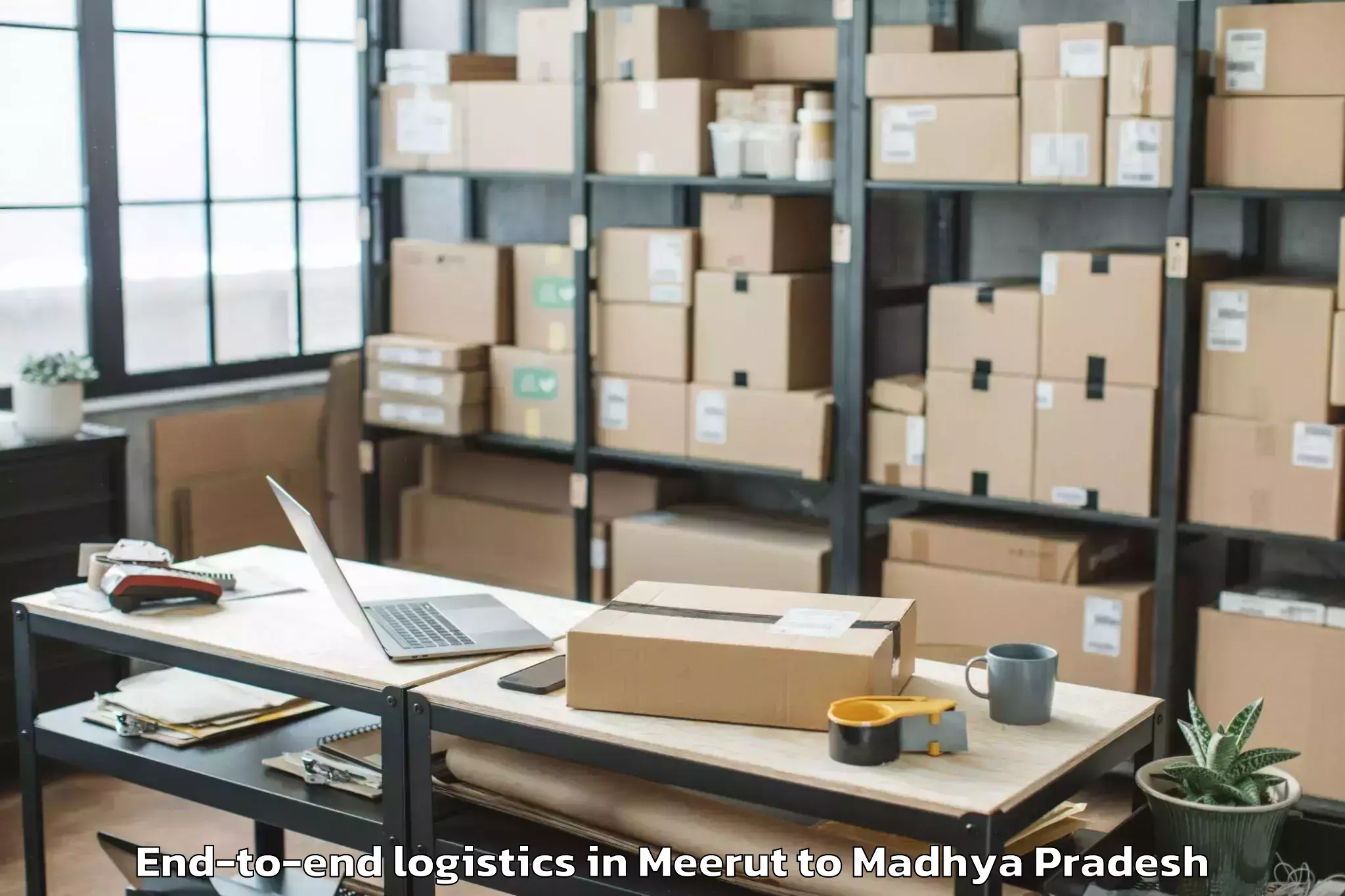 Professional Meerut to Badod End To End Logistics